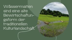 Nature-Catch-Basel-Wissens-Catch-Wiese-4