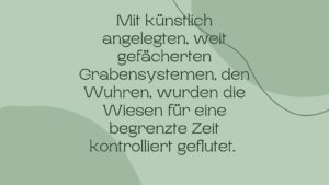 Nature-Catch-Basel-Wissens-Catch-Wiese-6