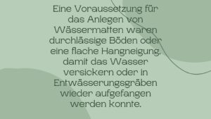 Nature-Catch-Basel-Wissens-Catch-Wiese-7