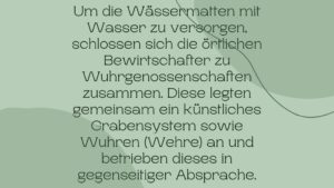 Nature-Catch-Basel-Wissens-Catch-Wiese-9